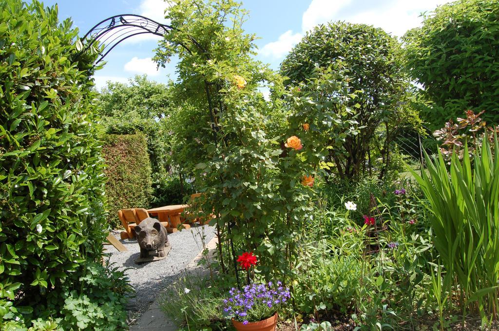 Hotel-Ferienwohnungen Cafe Maarblick Schalkenmehren Esterno foto
